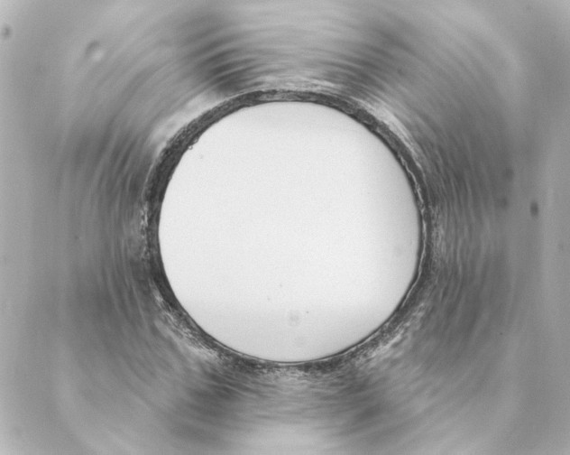 X0000088610971200706221426