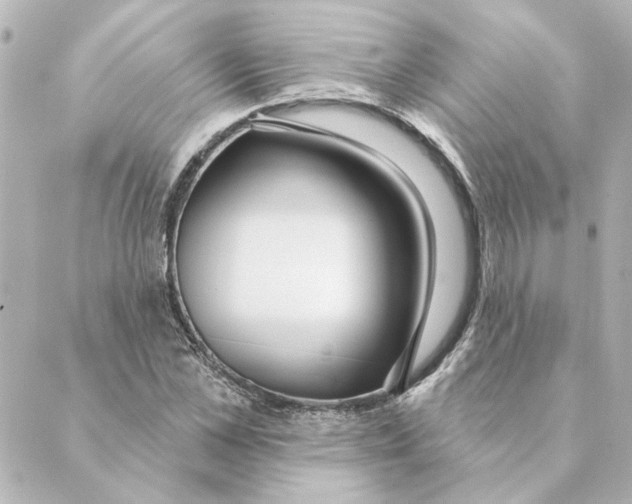 X0000088610973200706221426