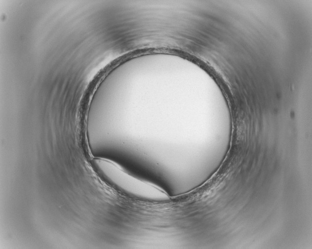 X0000088610975200706221426