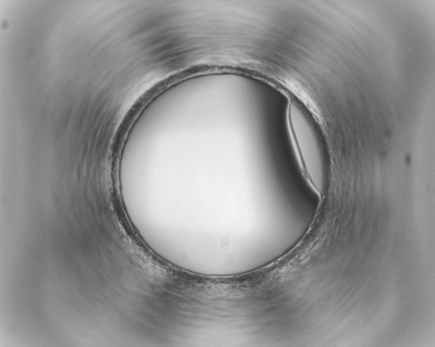 X0000088610976200706221426