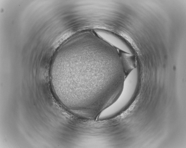 X0000088610977200706221426