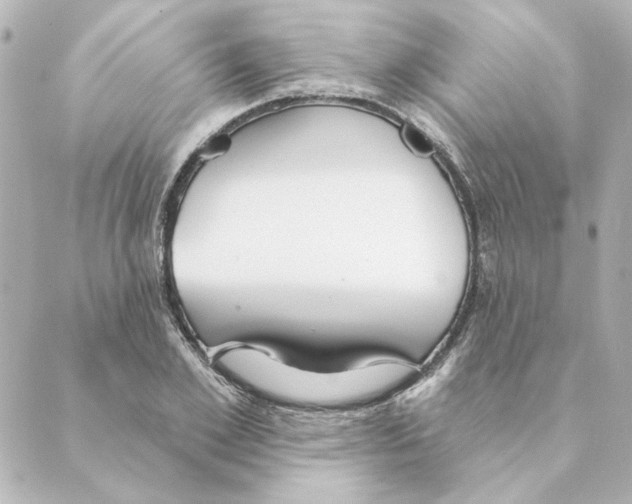 X0000088610981200706221426