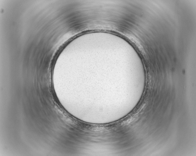 X0000088610982200706221426