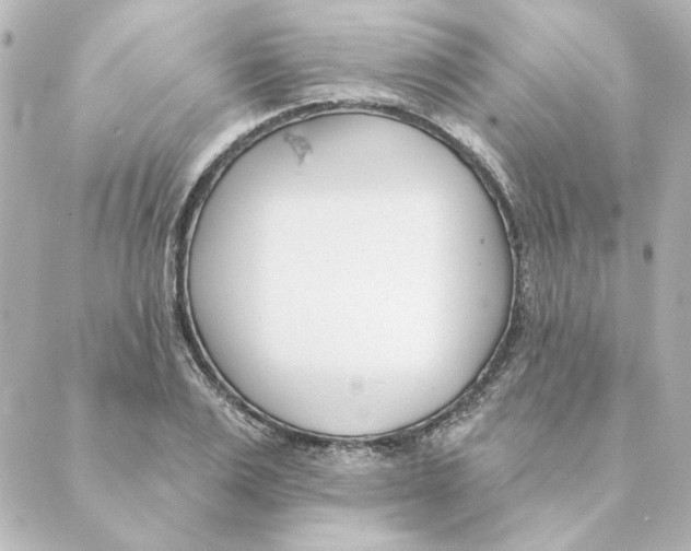 X0000088610983200706221426