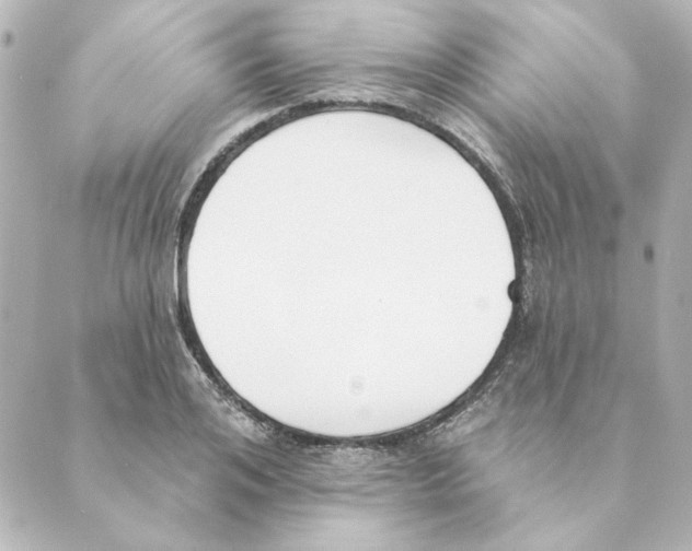 X0000088610984200706221426