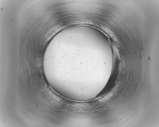 X0000088610985200706221426