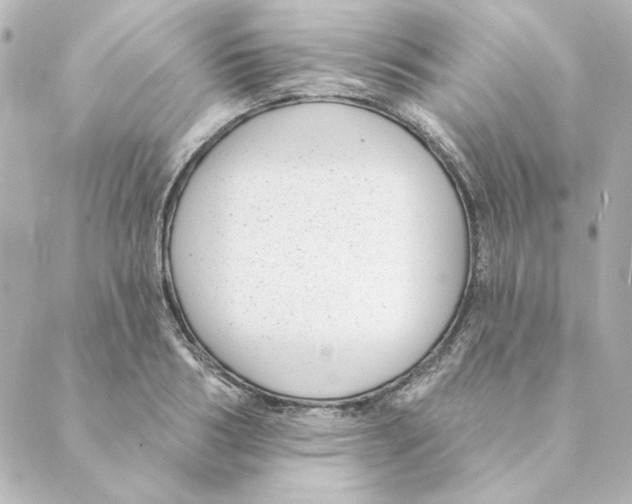 X0000088610986200706221426