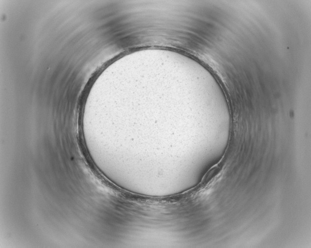 X0000088610987200706221426