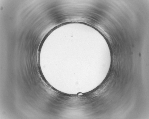 X0000088610988200706221426