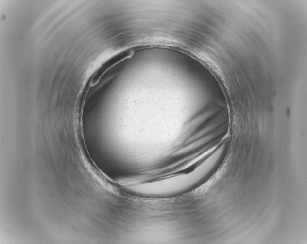 X0000088610989200706221426