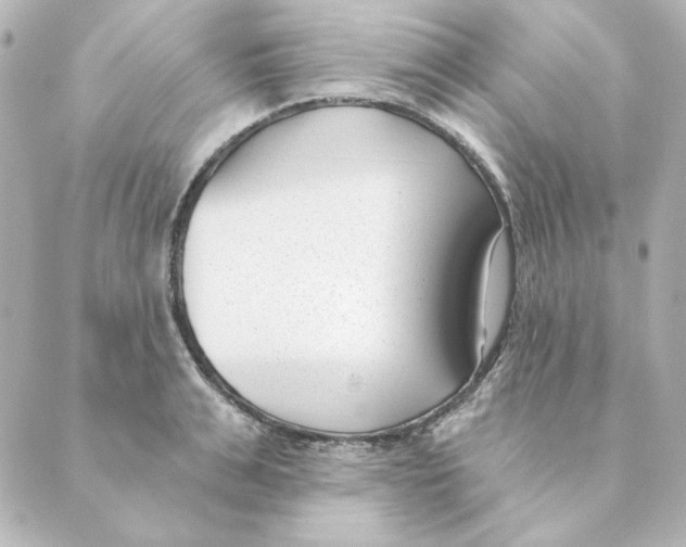 X0000088610991200706221426