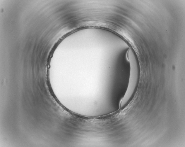 X0000088610992200706221426