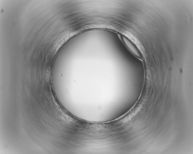 X0000088610993200706221426