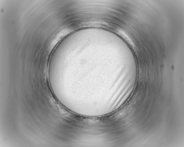 X0000088610994200706221426