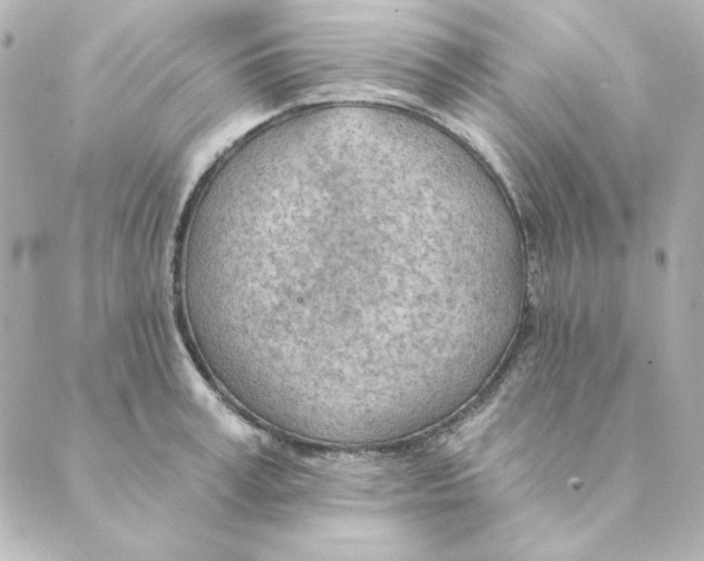 X0000088610995200706221426