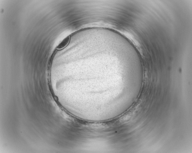 X0000088610998200706221426