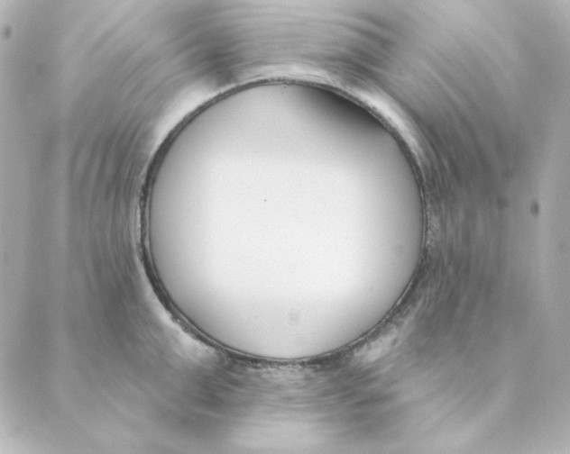 X0000088610999200706221426