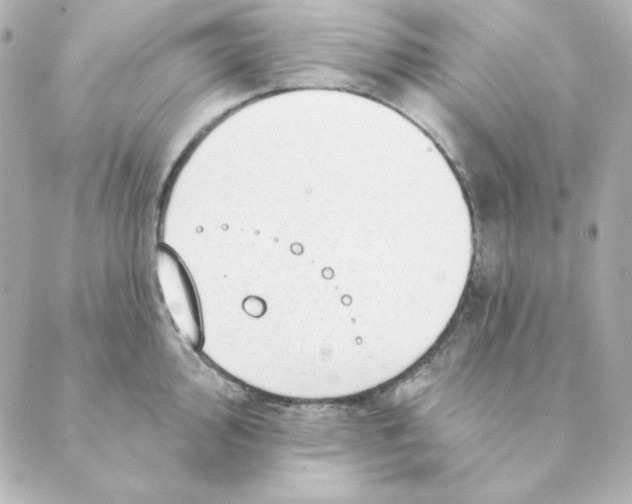 X0000088611000200706221426