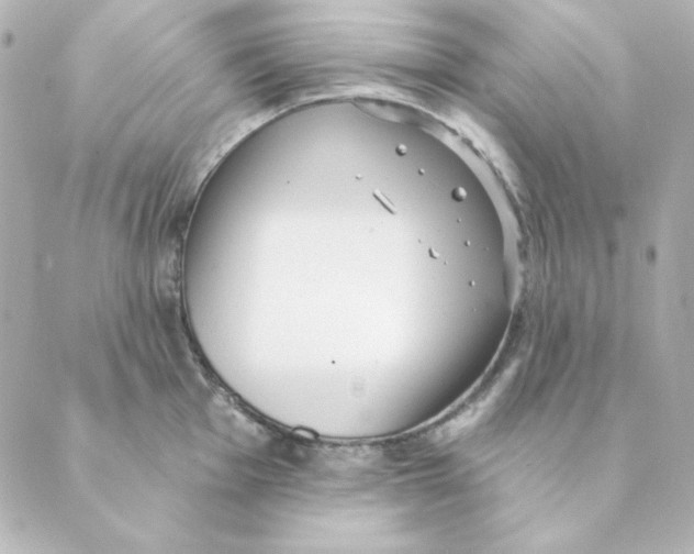 X0000088611001200706221426