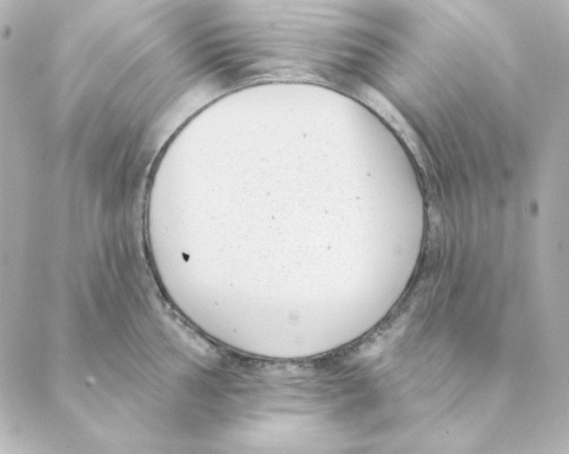 X0000088611002200706221426