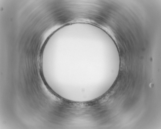 X0000088611003200706221426