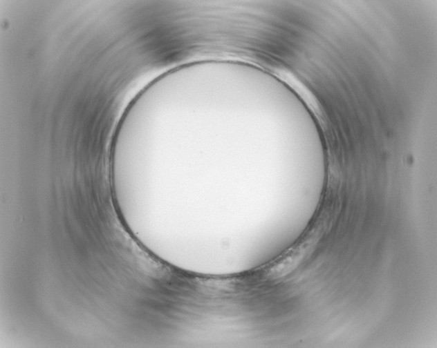 X0000088611004200706221426