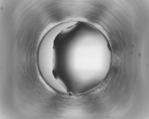 X0000088611005200706221426