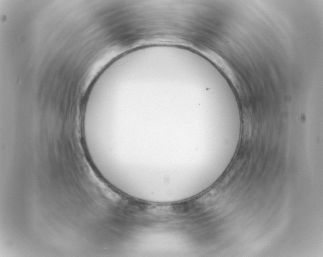 X0000088611006200706221426