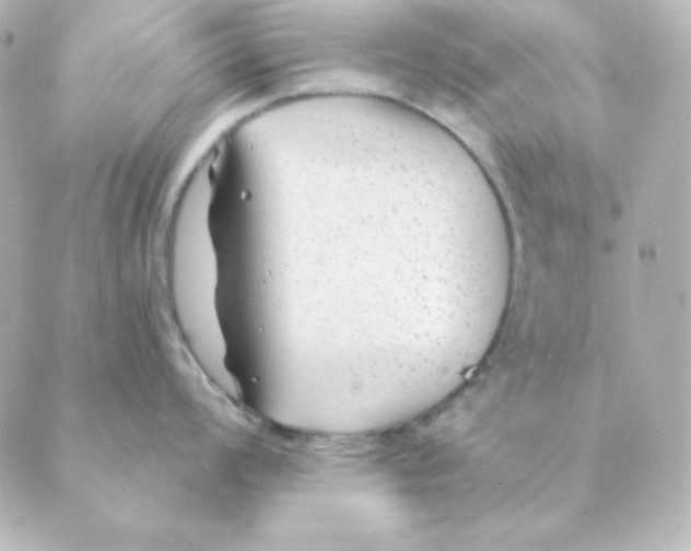 X0000088611008200706221426