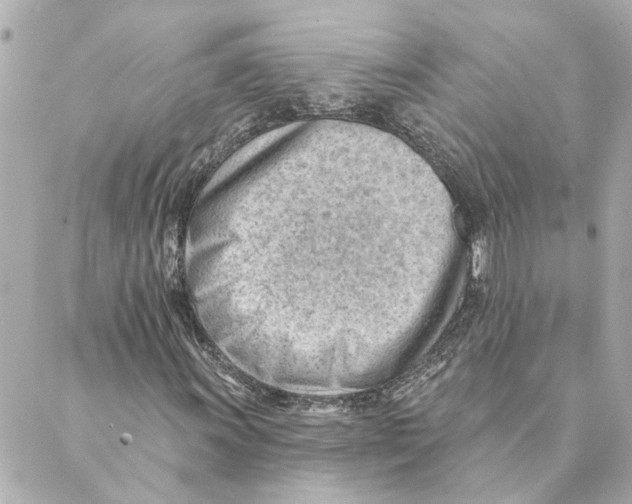 X0000088611011200706221425