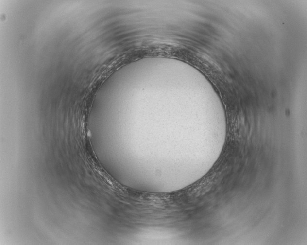 X0000088611013200706221425