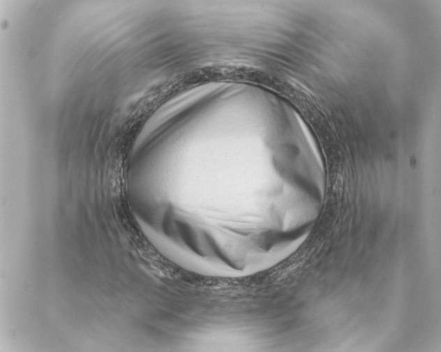 X0000088611014200706221425