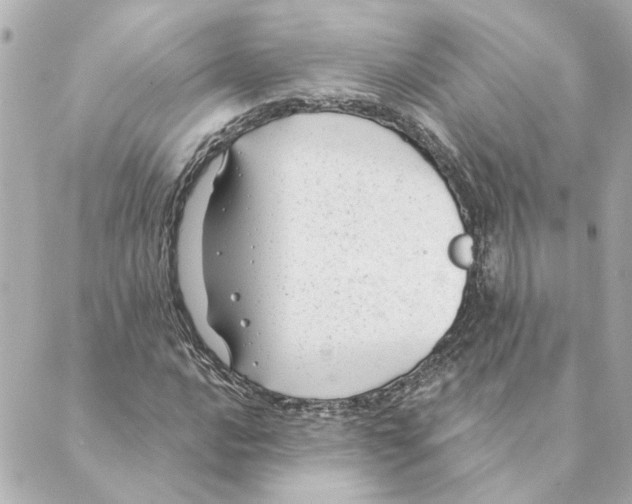 X0000088611016200706221425