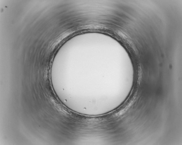 X0000088611017200706221425