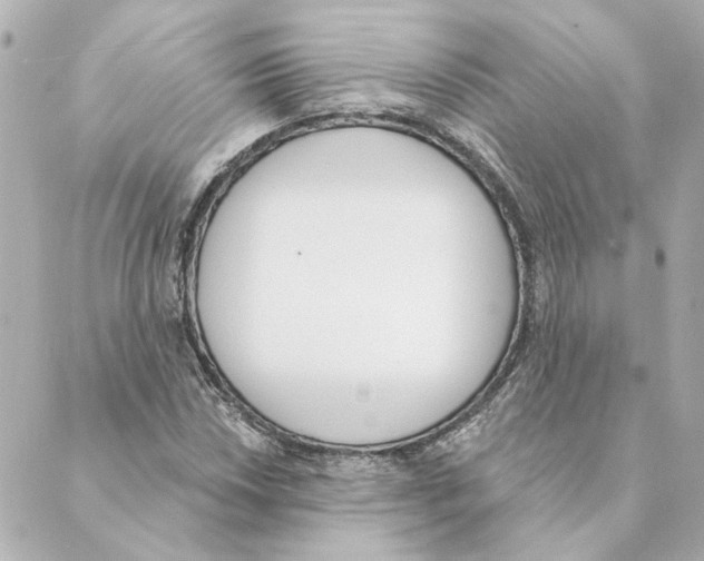 X0000088611018200706221425