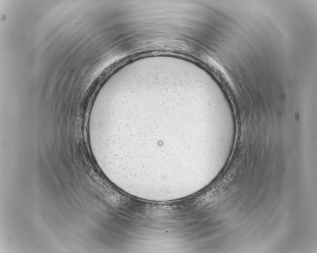 X0000088611019200706221425