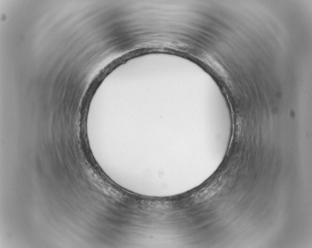 X0000088611020200706221425