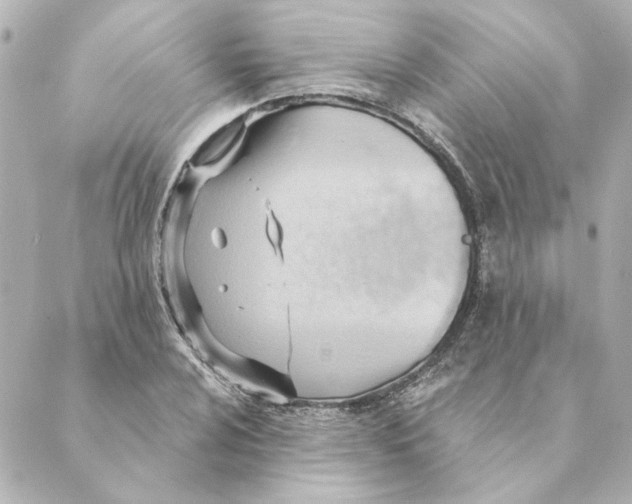 X0000088611024200706221425