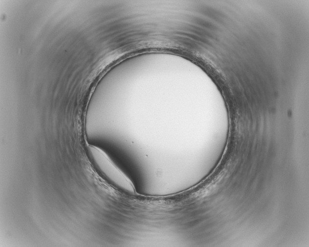 X0000088611025200706221425