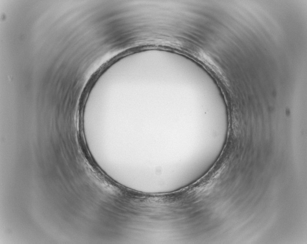 X0000088611028200706221425