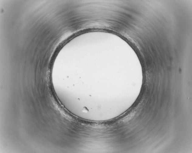 X0000088611029200706221425