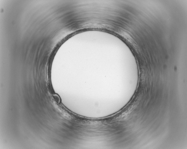 X0000088611030200706221425