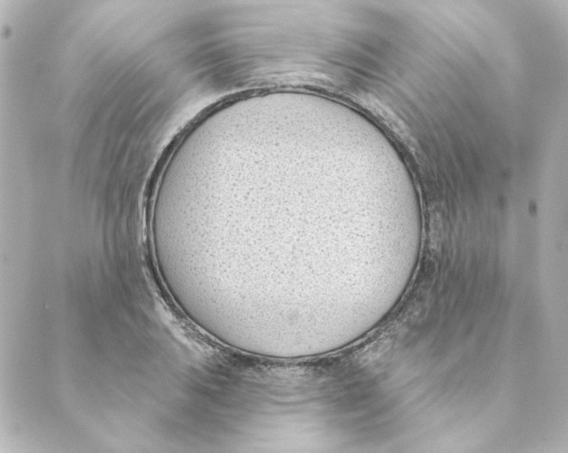 X0000088611031200706221425