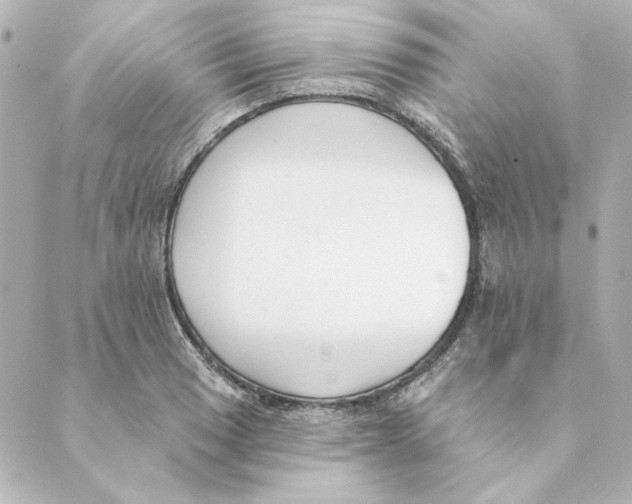 X0000088611033200706221425