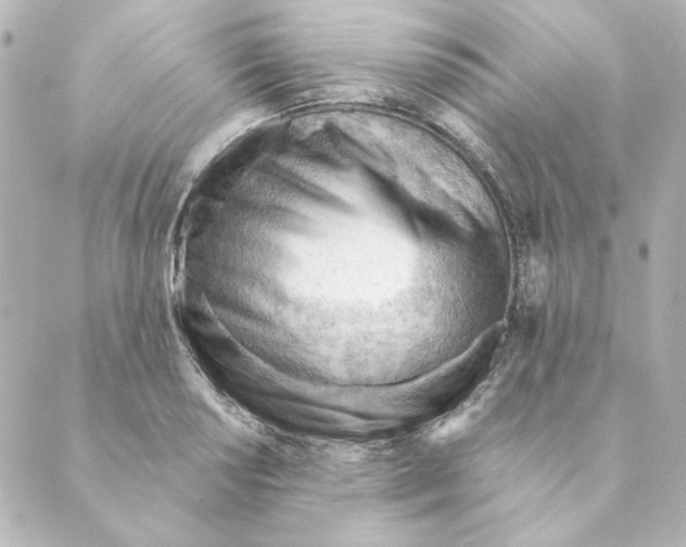 X0000088611034200706221425