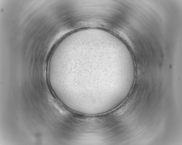 X0000088611035200706221425