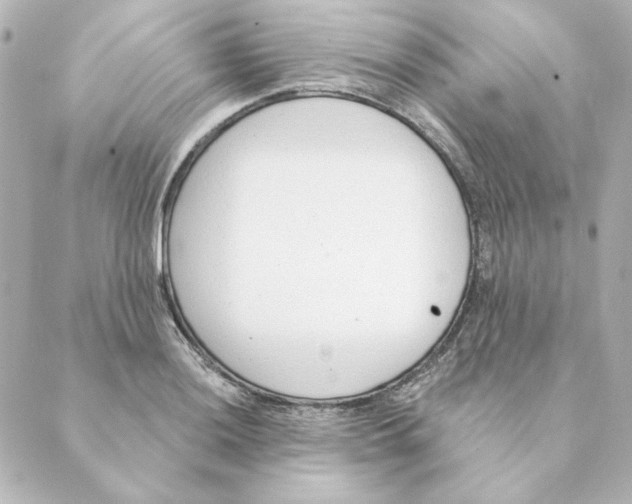 X0000088611036200706221425