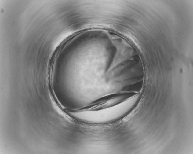 X0000088611038200706221425