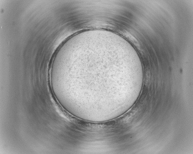 X0000088611039200706221425