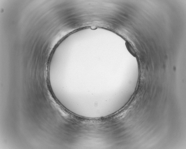 X0000088611040200706221425